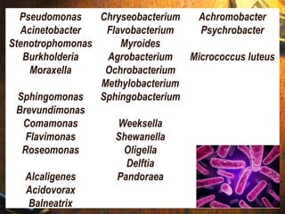 Pseudomonas
Acinetobacter
Stenotrophomonas
Burkholderia
Moraxella
Sphingomonas
Brevundimonas
Comamonas
Flavimonas
Roseomonas
Alcaligenes
Acidovorax
Balneatrix
Chryseobacterium
Flavobacterium
Myroides
Agrobacterium
Ochrobacterium
Methylobacterium
Sphingobacterium
Weeksella
Shewanella
Oligella
Delftia
Pandoraea
Achromobacter
Psychrobacter
Micrococcus luteus
 