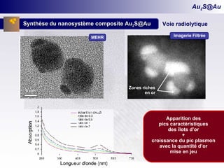 Au 2 [email_address] Synthèse du nanosystème composite Au 2 [email_address] Voie radiolytique 5 nm MEHR Apparition des pics caractéristiques des îlots d’or + croissance du pic plasmon avec la quantité d’or mise en jeu Imagerie Filtrée Zones riches en or 