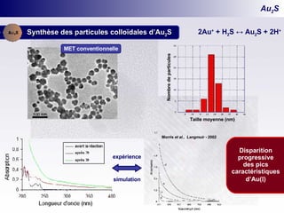 Au 2 S Synthèse des particules colloïdales d’Au 2 S 2Au +  + H 2 S  ↔ Au 2 S + 2H + MET conventionnelle Taille moyenne (nm) Nombre de particules Morris  et al. ,  Langmuir  - 2002 Disparition progressive des pics caractéristiques d’Au(  ) expérience simulation 