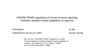 CHCHD4-TRIAP1 regulation of innate immune signaling
mediates skeletal muscle adaptation to exercise
Cell Reports Jin Ma
Published on January 23, 2024 Paul M. Hwang
Ma, Jin et al. “CHCHD4-TRIAP1 regulation of innate
immune signaling mediates skeletal muscle adaptation to
exercise.” Cell reports vol. 43,1 (2024): 113626.
doi:10.1016/j.celrep.2023.113626
 