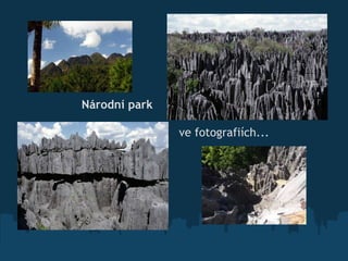 Národní park  ve fotografiích... 