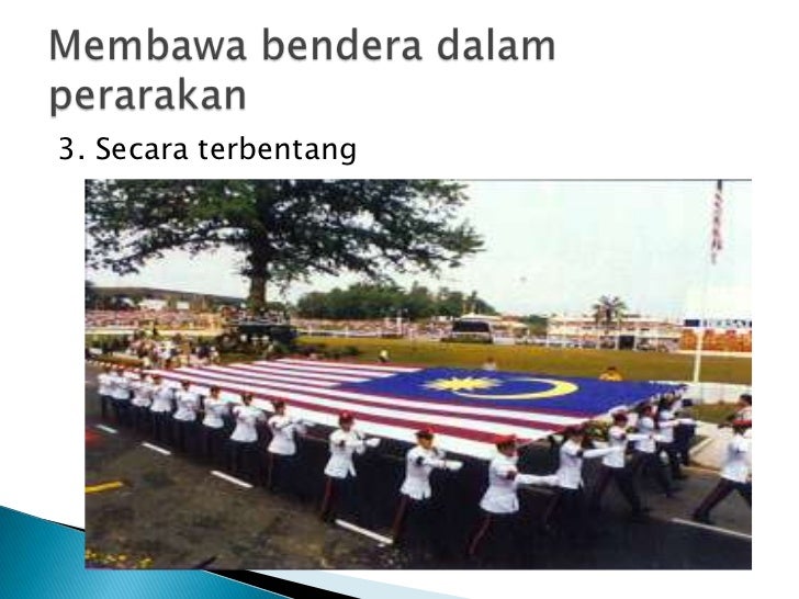 Majlis rasmi koko - (presentation)