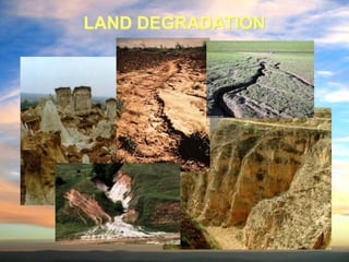 Major environmental-problems | PDF