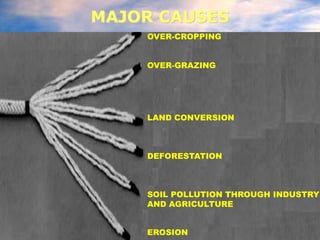 Major environmental-problems | PDF