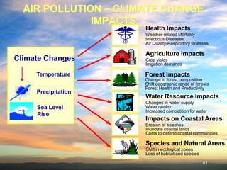 Major environmental-problems | PDF