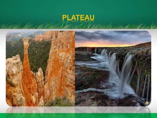 PLATEAU
 