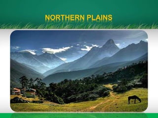 NORTHERN PLAINS
 