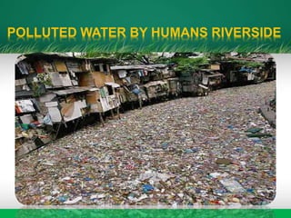 POLLUTED WATER BY HUMANS RIVERSIDE
 