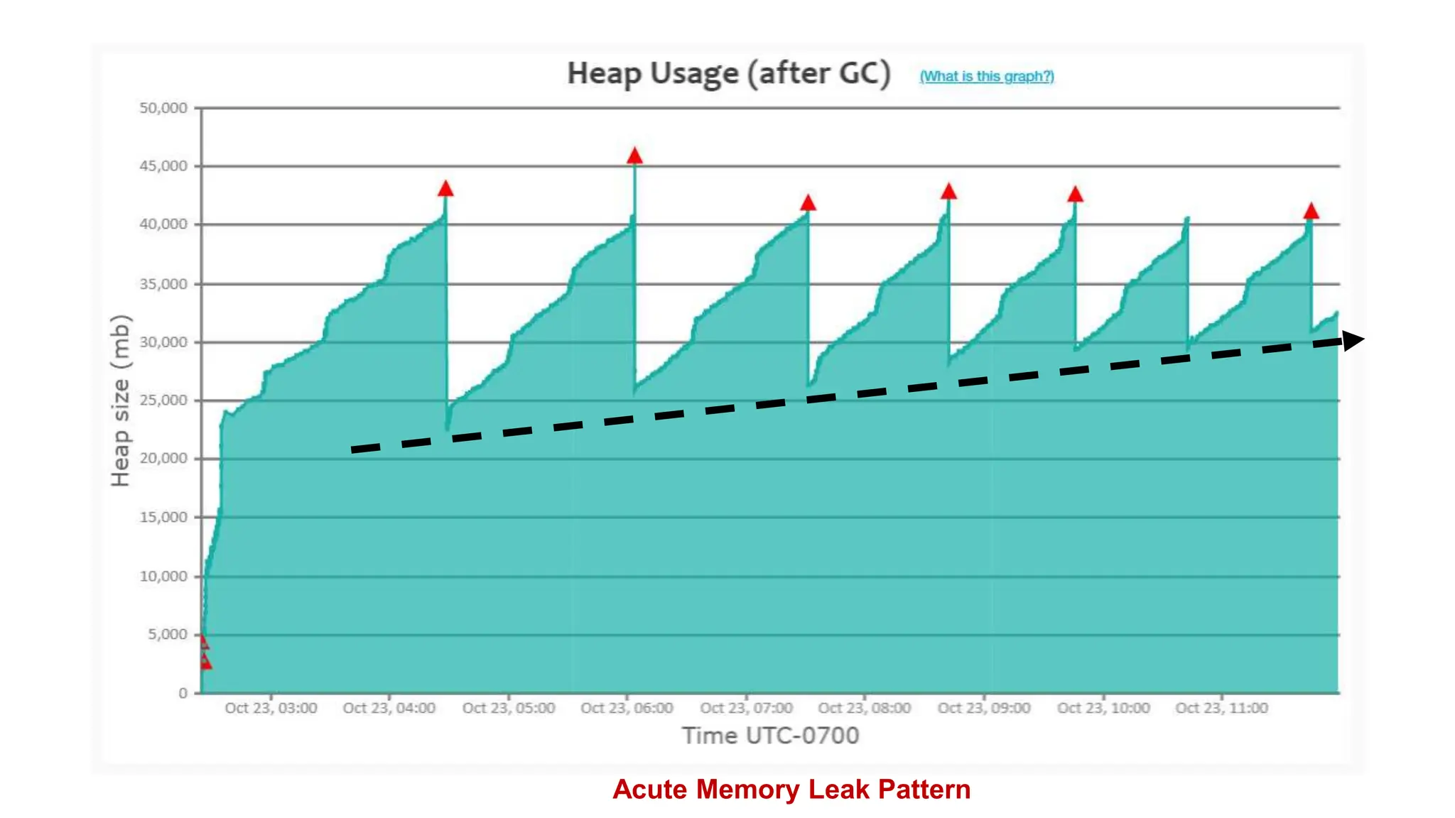 Acute Memory Leak Pattern
 