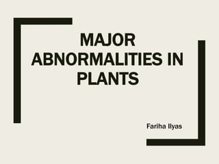 MAJOR
ABNORMALITIES IN
PLANTS
Fariha Ilyas
 