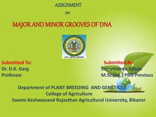ASSIGNMENT
on
MAJOR ANDMINOR GROOVES OF DNA
Submitted To: Submitted By:
Dr. D.K. Garg Smrutishree Sahoo
Professor M.Sc.(Ag.) PBG Previous
Department of PLANT BREEDING AND GENETICS
College of Agriculture
Swami Keshwanand Rajasthan Agricultural University, Bikaner
 