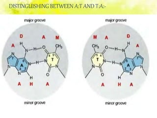 DISTINGUISHING BETWEEN A:T AND T:A:-
 