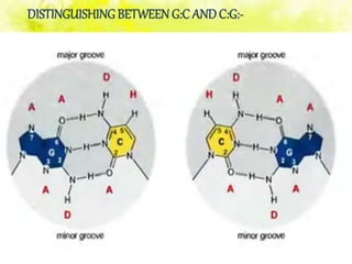 DISTINGUISHING BETWEEN G:C ANDC:G:-
 