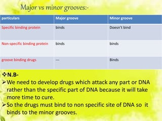 Major vs minor grooves:-
N.B-
We need to develop drugs which attack any part or DNA
rather than the specific part of DNA because it will take
more time to cure.
So the drugs must bind to non specific site of DNA so it
binds to the minor grooves.
particulars Major groove Minor groove
Specific binding protein binds Doesn’t bind
Non-specific binding protein binds binds
groove binding drugs --- Binds
 