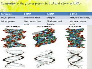 Comparison of the grooves present in B , A and Z form of DNA:-
 