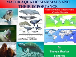 MAJOR AQUATIC MAMMALS AND
THEIR IMPORTANCE
By:
Bhukya Bhaskar
Fisheries
Global Distribution and conservation
of marine Mammals
Smithsonian Institution
 