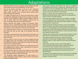 Major Aquatic Mammals and their importance by B.pptx | Free Download