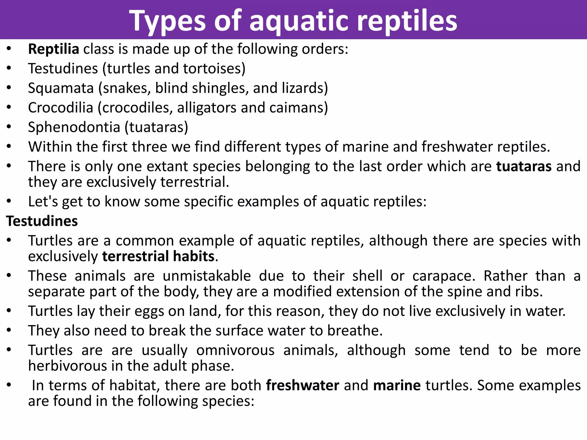 Major Aquatic Reptiles with special focus on Anatomy and Biology and ...