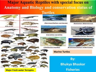Major Aquatic Reptiles with special focus on
Anatomy and Biology and conservation status of
Turtles
By:
Bhukya Bhaskar
Fisheries
Marine Turtles
Major Fresh water Terrapins
 