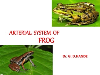 ARTERIAL SYSTEM OF
FROG
Dr. G. D.HANDE
 