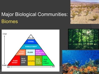 Major Biological Communities:  Biomes 