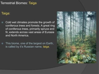 Terrestrial Biomes: TaigaTaiga:Cold wet climates promote the growth of coniferous trees and forests. A great ring of coniferous trees, primarily spruce and fir, extends across vast areas of Eurasia and North America.This biome, one of the largest on Earth, is called by it’s Russian name, taiga.