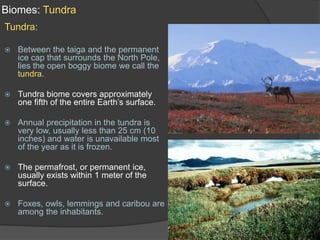 Biomes: TundraTundra:Between the taiga and the permanent ice cap that surrounds the North Pole, lies the open boggy biome we call the tundra.Tundra biome covers approximately one fifth of the entire Earth’s surface. Annual precipitation in the tundra is very low, usually less than 25 cm (10 inches) and water is unavailable most of the year as it is frozen.The permafrost, or permanent ice, usually exists within 1 meter of the surface.Foxes, owls, lemmings and caribou are among the inhabitants.