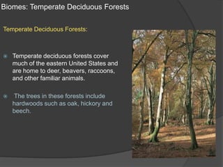 Biomes: Temperate Deciduous ForestsTemperate Deciduous Forests:Temperate deciduous forests cover much of the eastern United States and are home to deer, beavers, raccoons, and other familiar animals.The trees in these forests include hardwoods such as oak, hickory and beech.