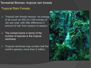 Terrestrial Biomes: tropical rain forestsTropical Rain ForestsTropical rain forests receive  an average of as much as 450 cm (180 inches) of rain per year, with little difference in amount of rain from season to season.The richest biome in terms of the number of species is the tropical rainforest. Tropical rainforest may contain half the world’s species, more than 2 million.