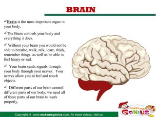 Copyright of www.makemegenius.com, for more videos ,visit us.
BRAIN
Brain is the most important organ in
your body.
The Brain controls your body and
everything it does.
 Without your brain you would not be
able to breathe, walk, talk, learn, think,
remember things, as well as be able to
feel happy or sad.
 Your brain sends signals through
your body through your nerves. Your
nerves allow you to feel and touch
objects.
 Different parts of our brain control
different parts of our body, we need all
of these parts of our brain to work
properly.
 