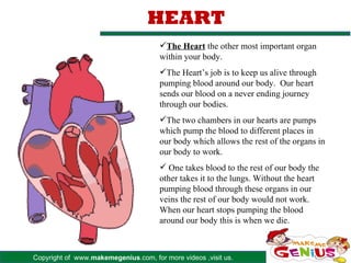 Copyright of www.makemegenius.com, for more videos ,visit us.
HEART
The Heart the other most important organ
within your body.
The Heart’s job is to keep us alive through
pumping blood around our body. Our heart
sends our blood on a never ending journey
through our bodies.
The two chambers in our hearts are pumps
which pump the blood to different places in
our body which allows the rest of the organs in
our body to work.
 One takes blood to the rest of our body the
other takes it to the lungs. Without the heart
pumping blood through these organs in our
veins the rest of our body would not work.
When our heart stops pumping the blood
around our body this is when we die.
 