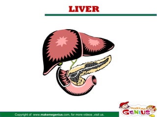 Copyright of www.makemegenius.com, for more videos ,visit us.
LIVER
 