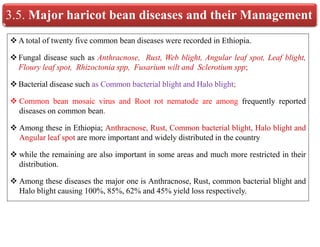 3.5. Major haricot bean diseases and their Management
 A total of twenty five common bean diseases were recorded in Ethiopia.
 Fungal disease such as Anthracnose, Rust, Web blight, Angular leaf spot, Leaf blight,
Floury leaf spot, Rhizoctonia spp, Fusarium wilt and Sclerotium spp;
 Bacterial disease such as Common bacterial blight and Halo blight;
 Common bean mosaic virus and Root rot nematode are among frequently reported
diseases on common bean.
 Among these in Ethiopia; Anthracnose, Rust, Common bacterial blight, Halo blight and
Angular leaf spot are more important and widely distributed in the country
 while the remaining are also important in some areas and much more restricted in their
distribution.
 Among these diseases the major one is Anthracnose, Rust, common bacterial blight and
Halo blight causing 100%, 85%, 62% and 45% yield loss respectively.
 