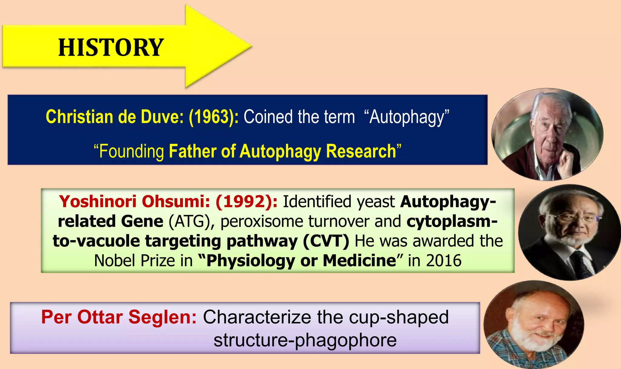 Molecular mechanisms of Autophagy and its Role in Plant Immunity ...