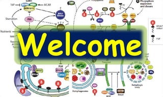 Molecular mechanisms of Autophagy and its Role in Plant Immunity ...