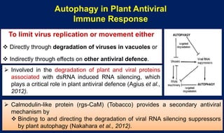 Molecular mechanisms of Autophagy and its Role in Plant Immunity ...