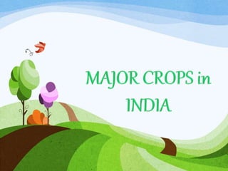 Major crops in India