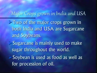 Major Crops grown in India and USA and Development of Agriculture | PPT