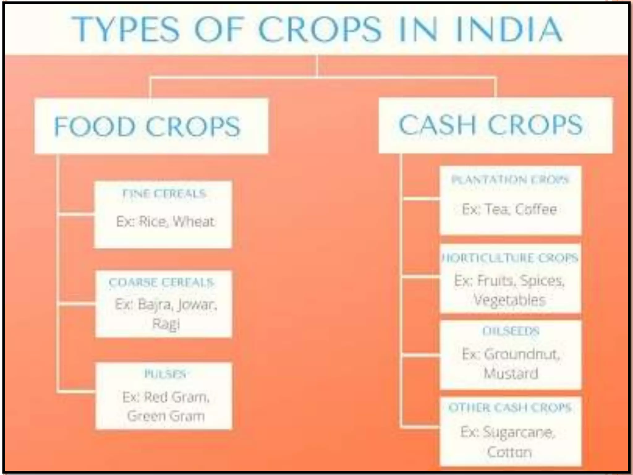 Major crops in India -Food processing.pptx