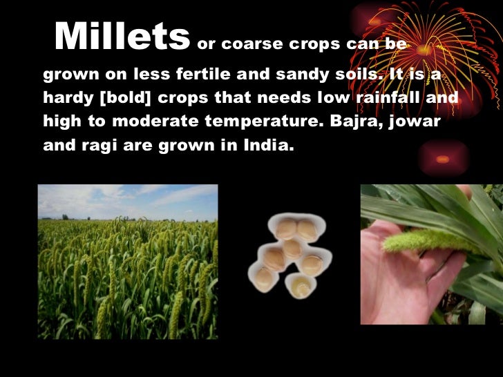 major crops of india powerpoint presentation crops ppt
