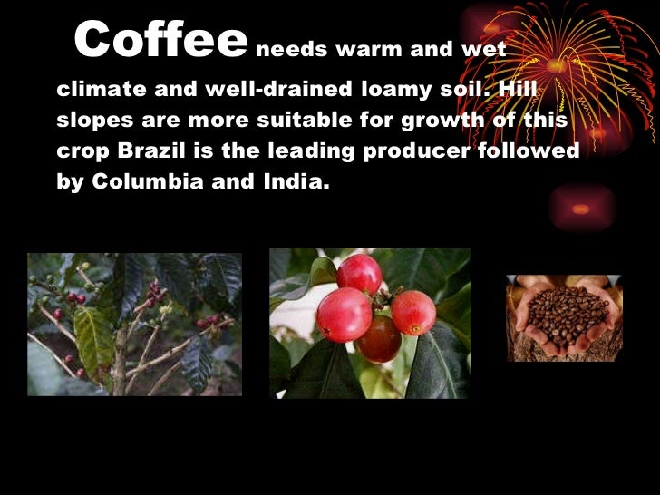 major crops of india powerpoint presentation crops ppt