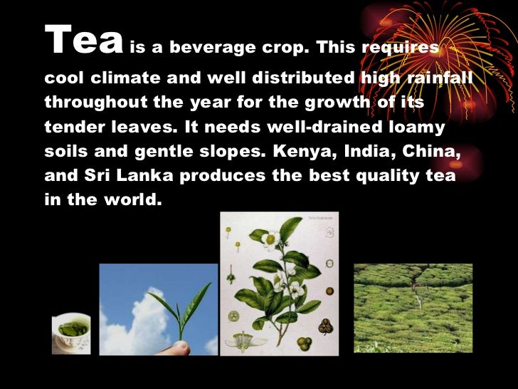major crops of india powerpoint presentation crops ppt