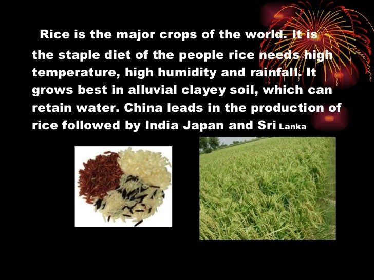 major crops of india powerpoint presentation crops ppt
