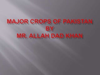 Major crops of pakistan A Presentation By Mr Allah Dad Khan Visiting ...