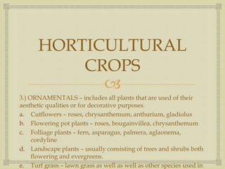 
HORTICULTURAL
CROPS
3.) ORNAMENTALS – includes all plants that are used of their
aesthetic qualities or for decorative purposes.
a. Cutflowers – roses, chrysanthemum, anthurium, gladiolus
b. Flowering pot plants – roses, bougainvillea, chrysanthemum
c. Folliage plants – fern, asparagus, palmera, aglaonema,
cordyline
d. Landscape plants – usually consisting of trees and shrubs both
flowering and evergreens.
e. Turf grass – lawn grass as well as well as other species used in
 