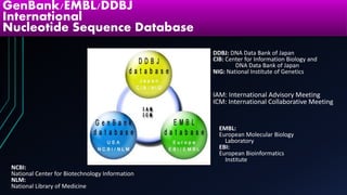 IAM: International Advisory Meeting
ICM: International Collaborative Meeting
GenBank/EMBL/DDBJ
International
Nucleotide Sequence Database
EMBL:
European Molecular Biology
Laboratory
EBI:
European Bioinformatics
Institute
DDBJ: DNA Data Bank of Japan
CIB: Center for Information Biology and
DNA Data Bank of Japan
NIG: National Institute of Genetics
NCBI:
National Center for Biotechnology Information
NLM:
National Library of Medicine
 