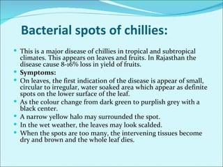 Major diseases of chilli