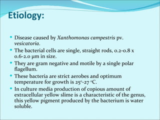 Major diseases of chilli