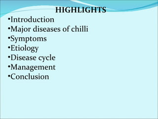 Major diseases of chilli