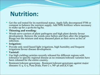 Major diseases of chilli